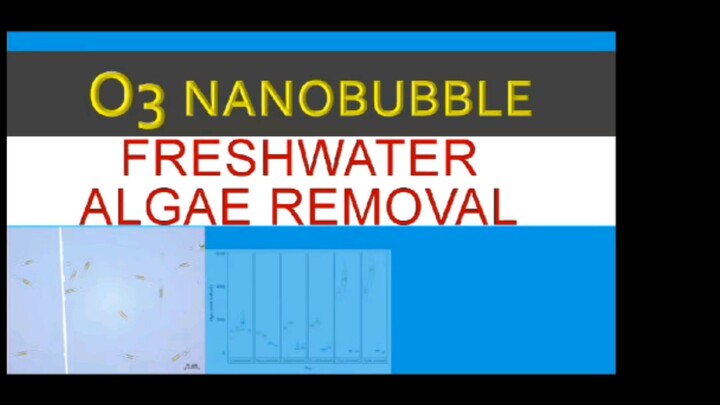 Algae removal by Ozone Nanobubble
