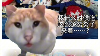 【努努｜猫meme】努努妈的生活