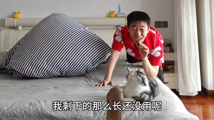 Bạn không chịu nổi thử thách đâu!