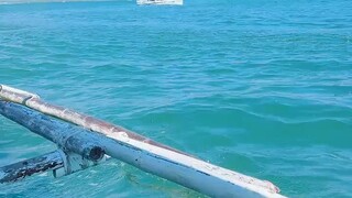 好好生活 这句话送给我和的顾客宝宝们，允许一切如其所是 然后记得勇敢～