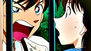 Sao anh dám mắng Tiểu Lan? Shinichi, chúng ta đánh nhau đi.