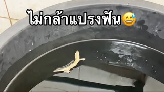 ตัวอะไรเนี่ย?!😂