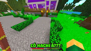 SẦU RIÊNG THỢ SĂN HẢI TẶC ZORO BẤT NGỜ HÓA THÀNH HUGGY WUGGY TRONG MINECRAFT_SẦU