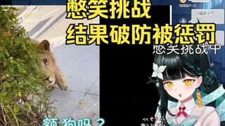 日本社恐妹妹看《近视眼的尴尬瞬间，5米开外人畜不分》