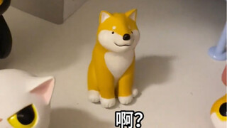 Selama ini kupikir pacarku membeli kucing, siapa sangka ternyata dua wajah berbeda.