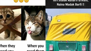 🤣มีมตลกๆ Memes ของนักเรียน 🥰 มีมตลกๆ😂 91