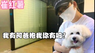 Xiao Shiqi and Their Pets 2.0 (Includes the First Appearance of Shua Ge's Pet)