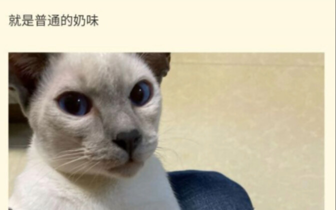 To be honest, cat milk doesn’t taste good at all.