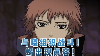 与晓组织战斗！蝎出现真容！43