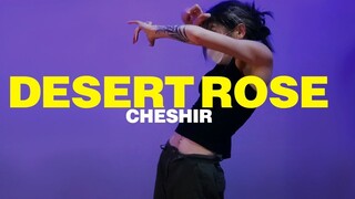 【Divine, Superb Control】Cheshir Ha's Flexible and Fluid Urban Choreography to Lolo Zouaï’s “Desert R