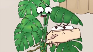 想要“绿植瀑布”还得靠它呀