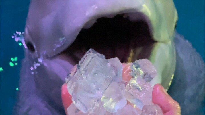 วันที่แสนงดงาม