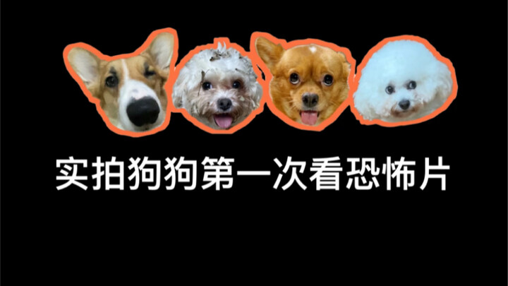 Documenting the Kids' First Time Watching a Horror Movie