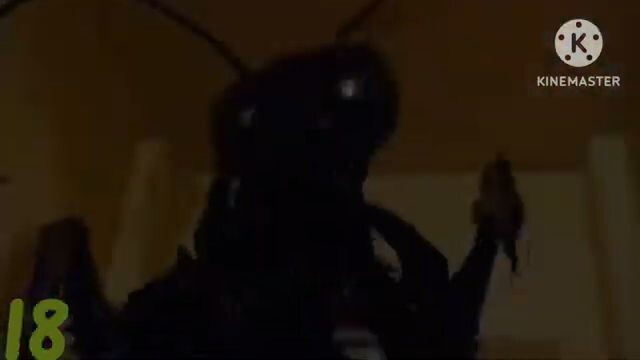 CONTAGEM DE MORTES - macaco azul