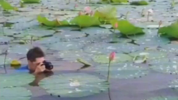 Con ếch 🐸 thất tình 💔💔=]]