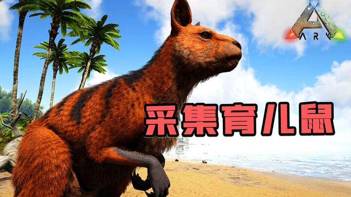 Ark: Survival Evolved: Chuột túi khổng lồ! Vừa hái quả mọng, vừa nuôi dưỡng con non, cả hai đều khôn