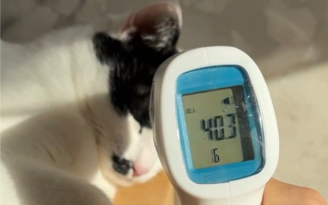 There's another 40°C one at home—let's isolate it on the balcony!