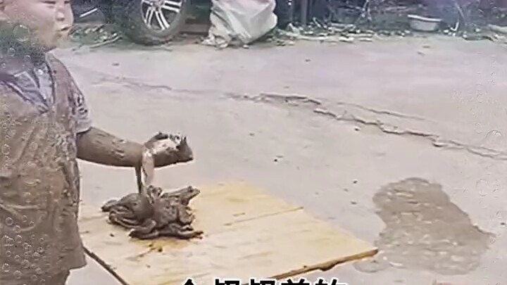 This is what true childhood really looks like