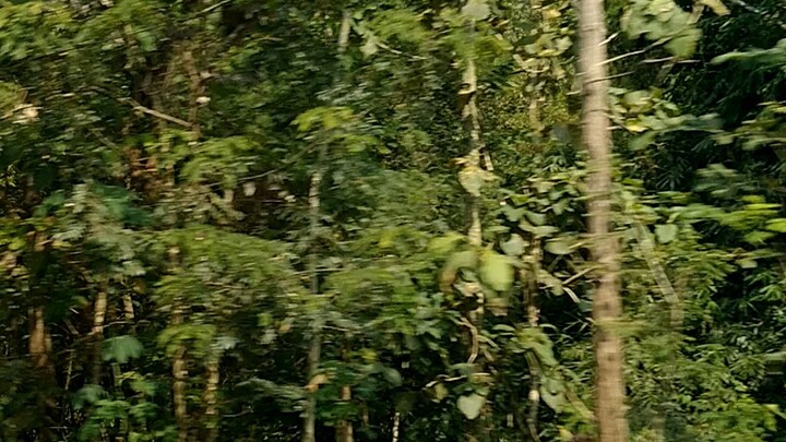 jalan jalan ke Blitar Jawa timur