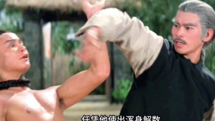 صاعد الشاب الجبل ليتعلم الفنون القتالية، وبعد إتقانه الكونغ فو نزل من الجبل لينتقم من أعدائه.