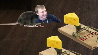 When I outsmart the mouse