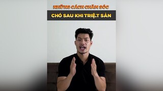 Những cách chăm sóc chó sau khi triệt sản petonesaigon tuitienpet dcgr