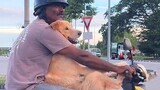 Words can't describe how wholesome friendship is! 💕 Funny Dog and Human