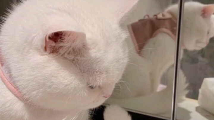 You probably only know this as a meme.