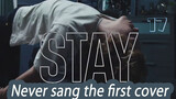 Thiếu niên chưa hát bao giờ cover "Stay"