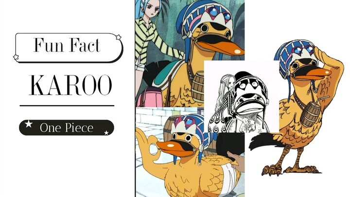 Funfact Karoo One Piece🦆