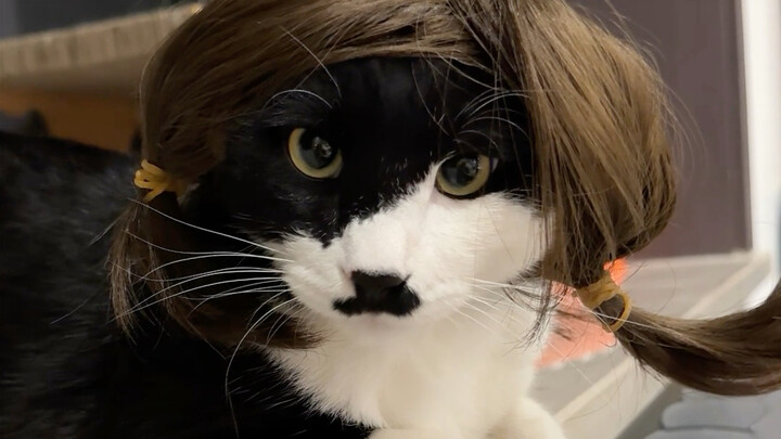 Làn sóng thứ hai của tóc giả đã đến!