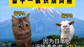 留子天赋技能——一眼识别同胞