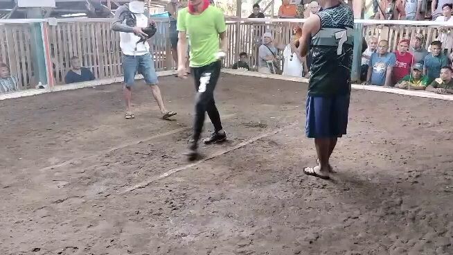 My open air 5x winner 🏆