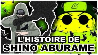 Histoire de Shino Aburame (Naruto & Boruto)