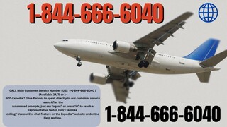 Travelocity® Official Customer Service Number | Complete Guide to Live Chat, Email & Calls Support