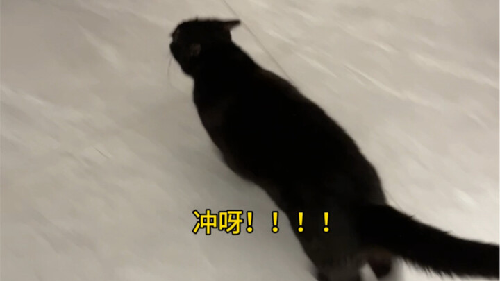 วันใหม่! การยั่วยวนครั้งใหม่! มาๆ มาที่ห้องฉันเร็ว!