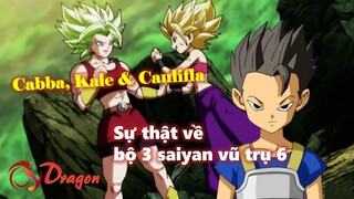 Sự thật về bộ 3 saiyan vũ trụ 6: Cabba, Kale và Caulifla