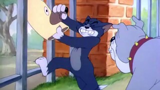 Tom and Jerry Cartoons Complete Collection ทอม & เจอรี่ EP.11-20