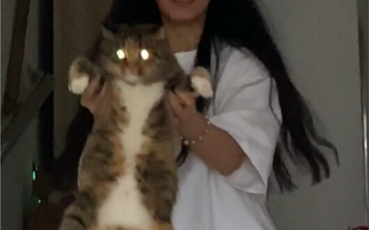 Kucing jantan kecil tetangga yang baru pindah pagi tadi, sore harinya sudah akrab dengan orang-orang