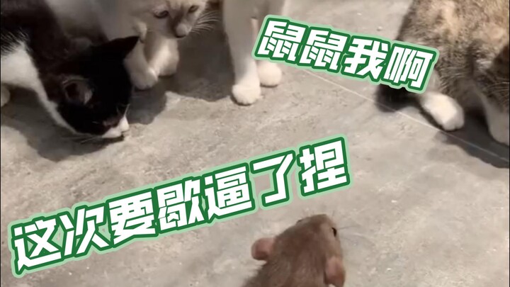 What the hell, you call yourself Jerry?