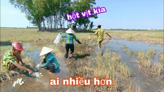 Vợ chồng Tư ra đồng lượm hột vịt xem ai được nhiều hơn
