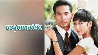 มรสุมแห่งชีวิต 2543  ธีรภัทร์-พัชราภา (รวมนักแสดง)
