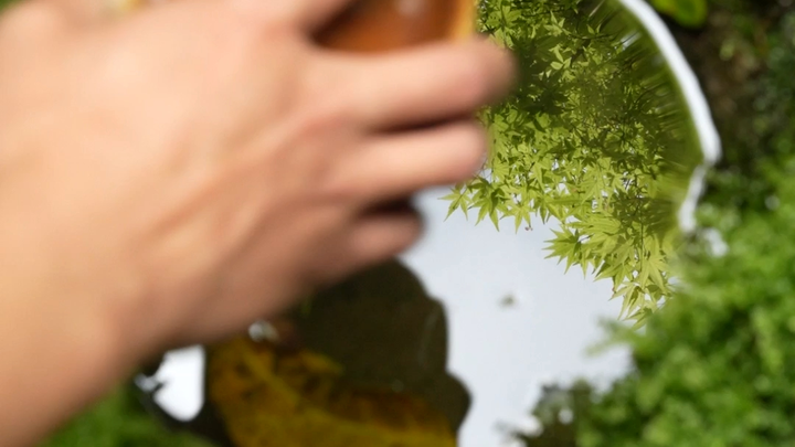 自动续水，水满则停