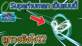 Roblox : Blox Fruits 👊วิธีดูทางการเด้งออกของ Superhuman เวลาบัคแบบคร่าวๆ