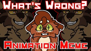 What's Wrong? TBC Animation Meme