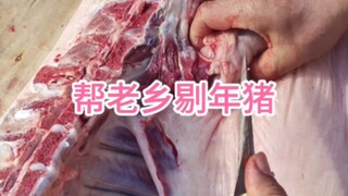 帮老乡剔年猪