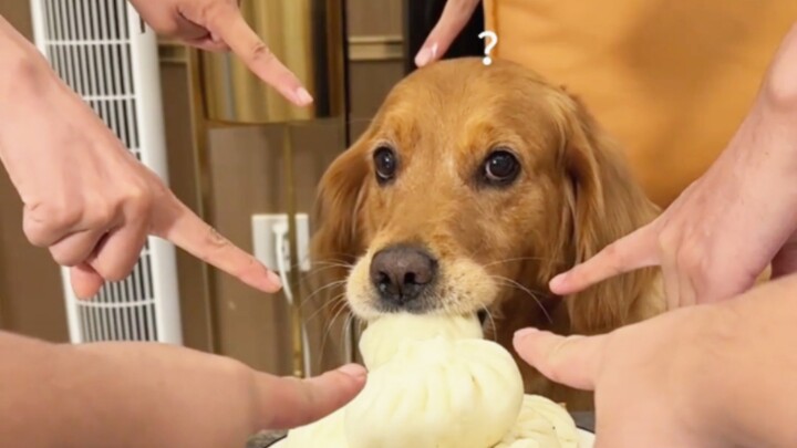 «أرض باشان وتشو شوي القارسة البرودة، مجموعة من العجائز يشيرون إليّ»