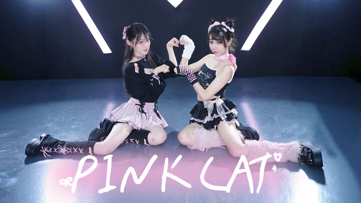 【Empat Angsa Kecil】♥【KUCING MERAH MUDA】