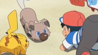 Satoshi đúng là HLV Pokemon giỏi