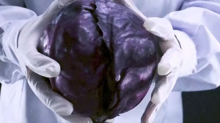 Chemical Romance | The World Comes Alive in Color Because of You